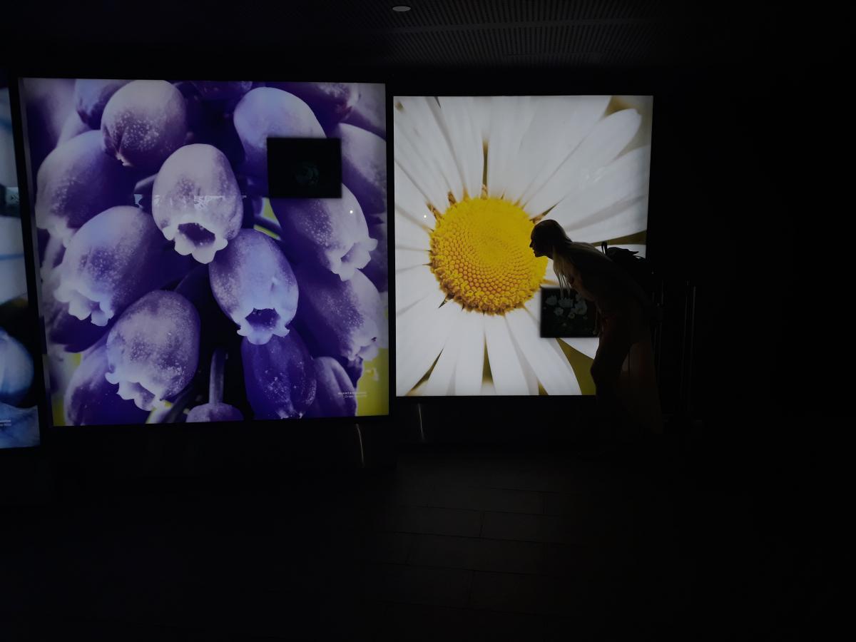 ОТКАЗВАМ ДА БЪДА СУПЕР ЖЕНА