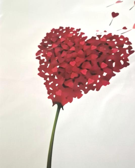 Дамска риза с дълъг ръкав TRUE LOVE SHIRT - 9